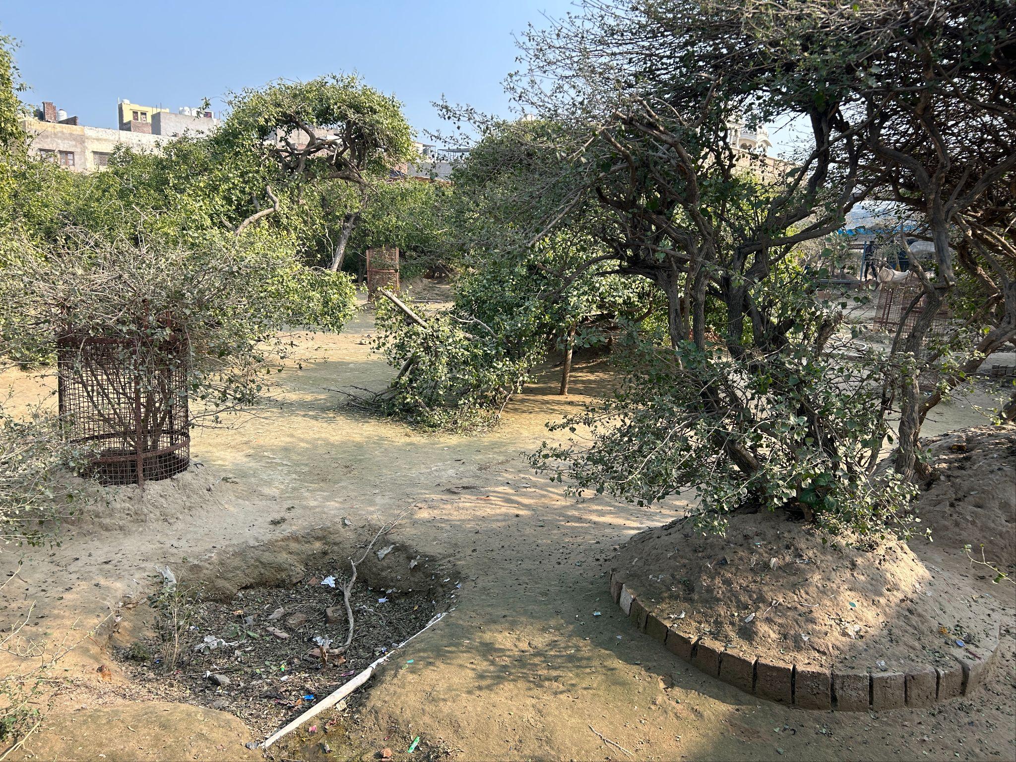 インドのニディワン