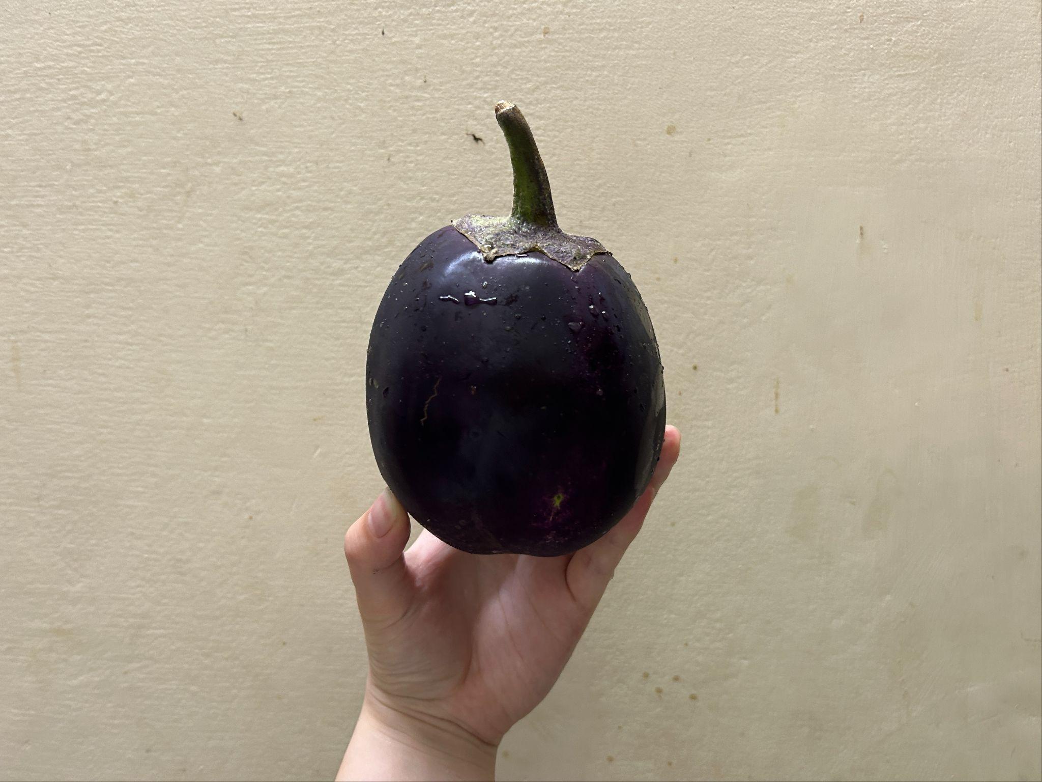 インドの丸ナス