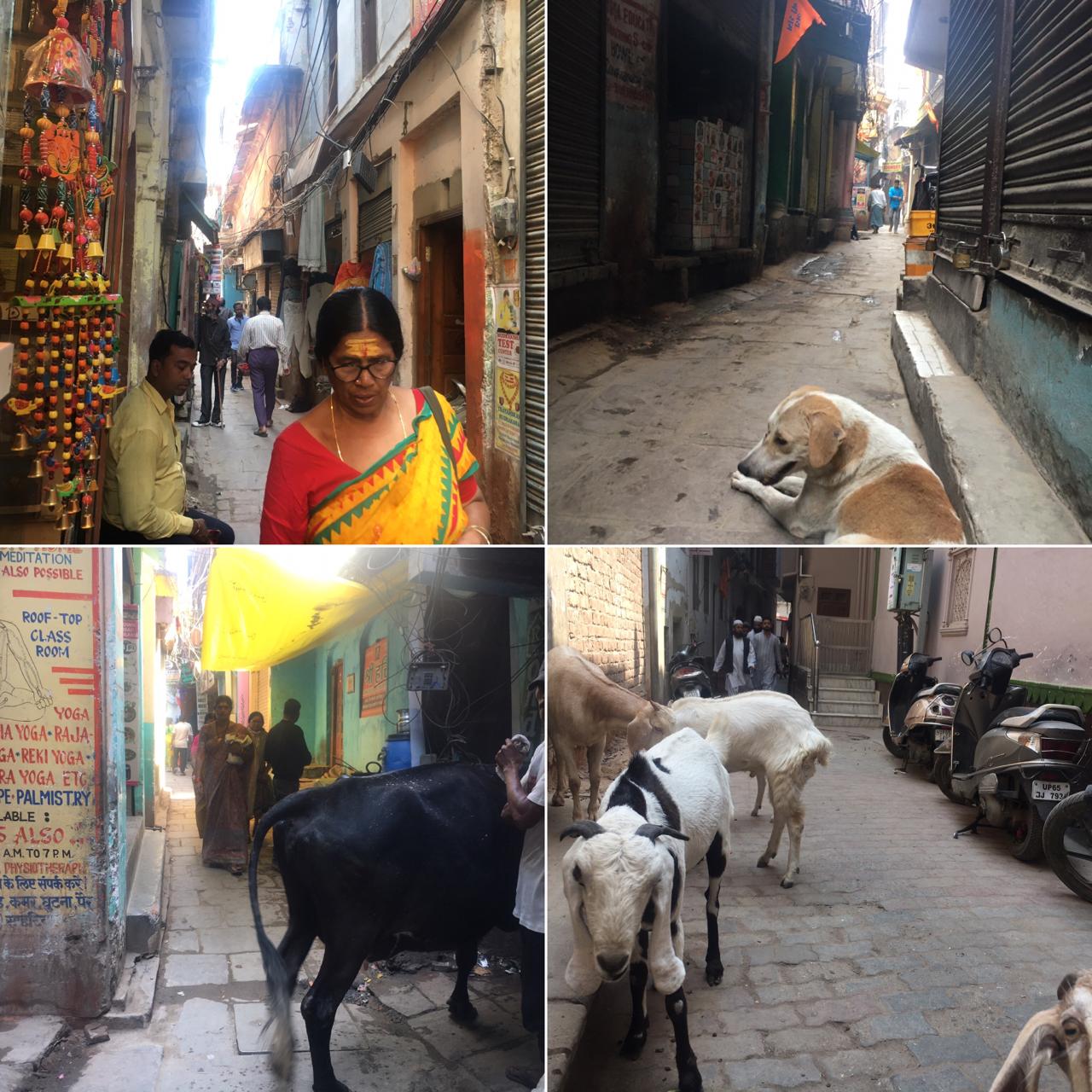 インドバラナシコーディネート