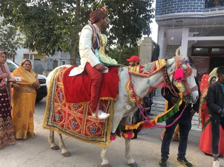 インド恋愛事情