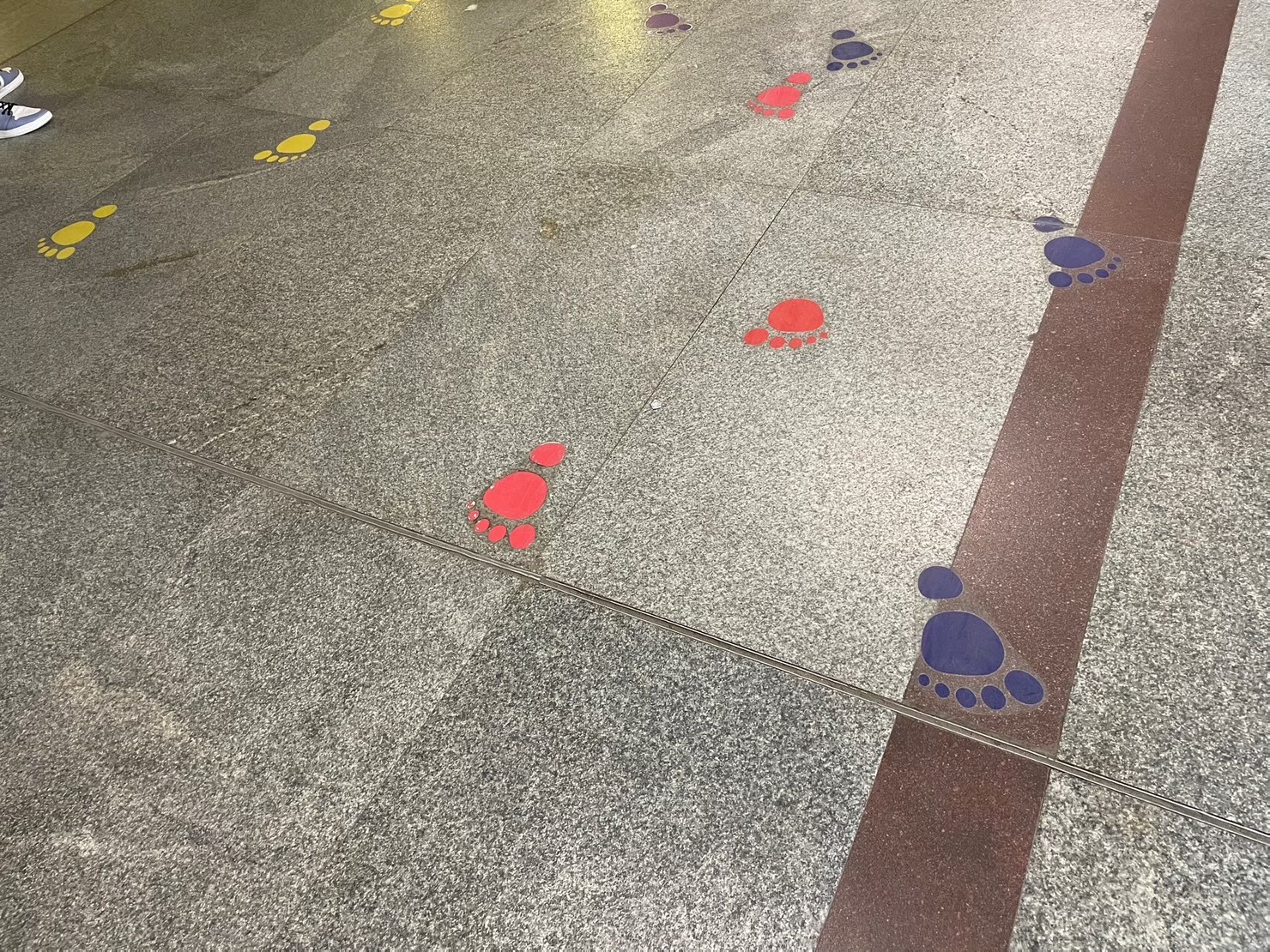 インド現地コーディネーター,