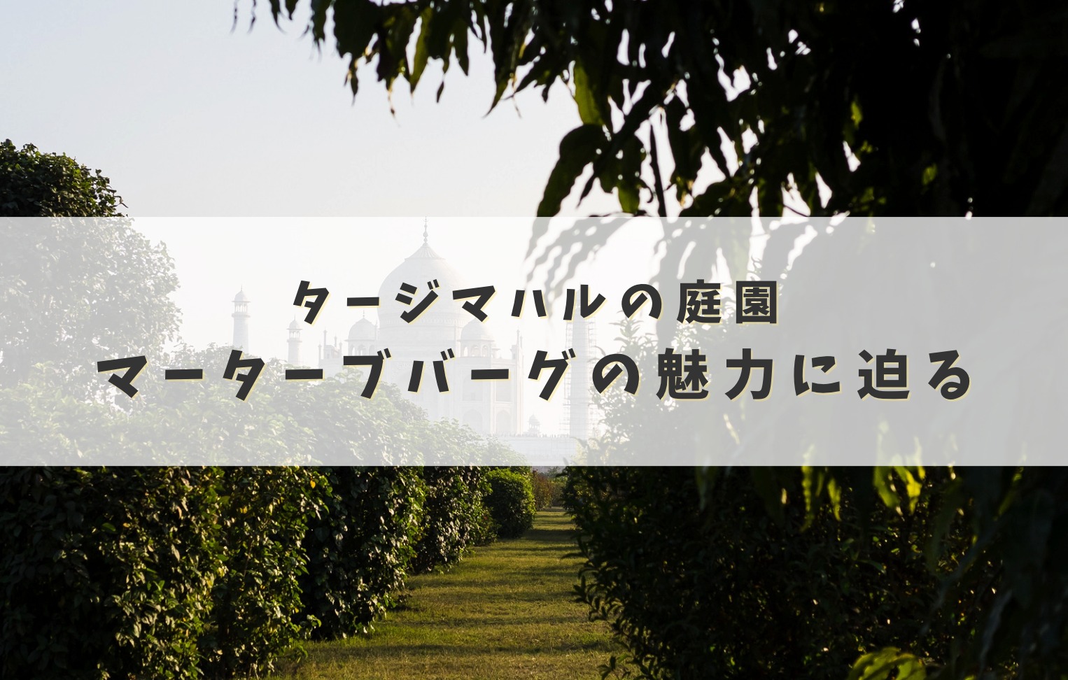 マーターブ・バーグ
